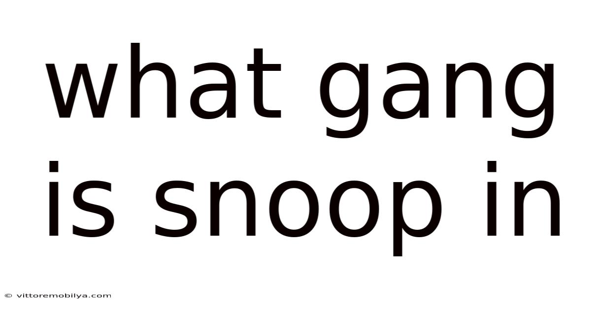 What Gang Is Snoop In