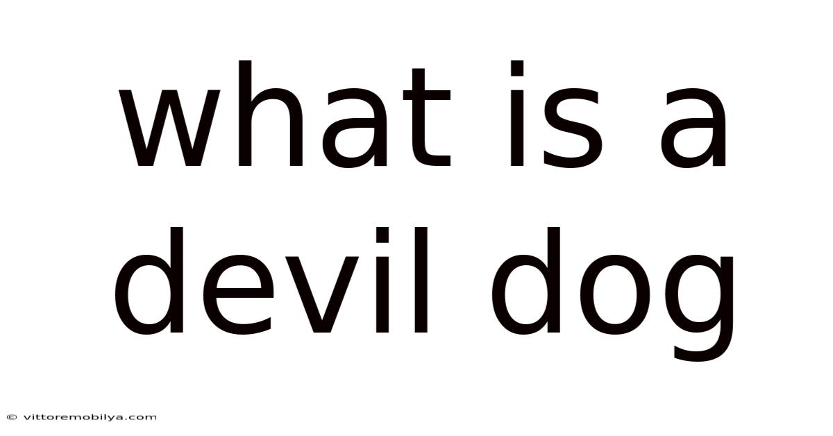 What Is A Devil Dog