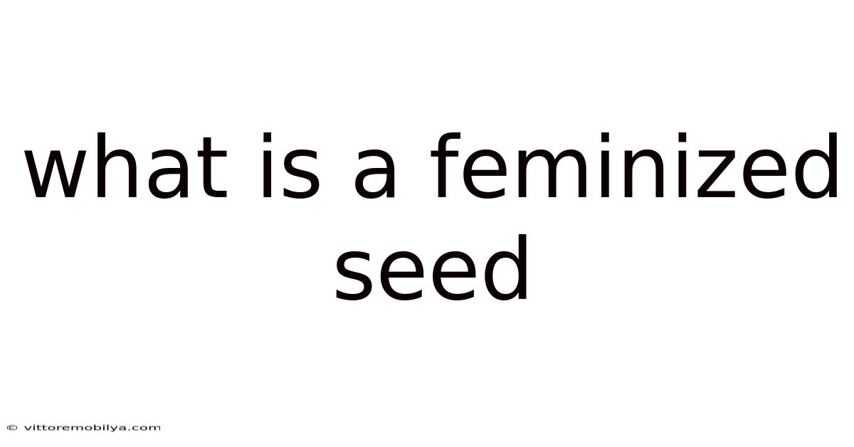 What Is A Feminized Seed
