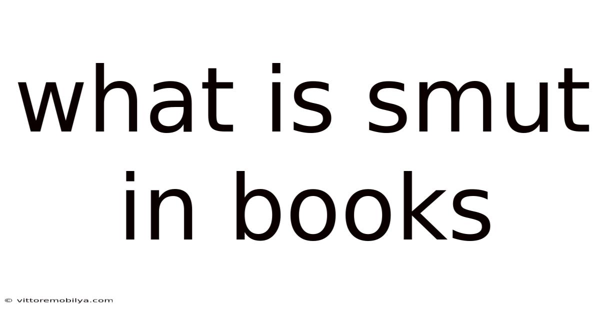 What Is Smut In Books