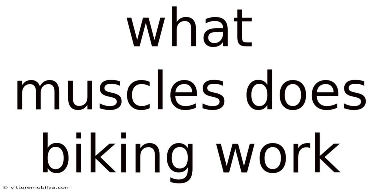 What Muscles Does Biking Work
