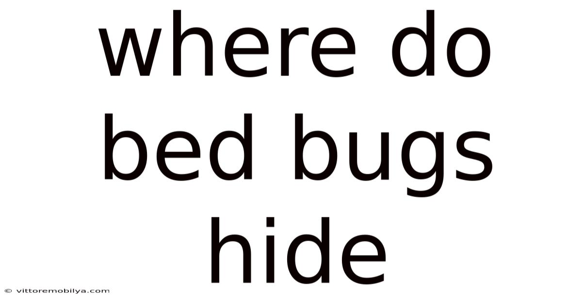 Where Do Bed Bugs Hide