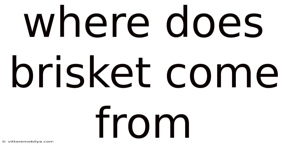 Where Does Brisket Come From