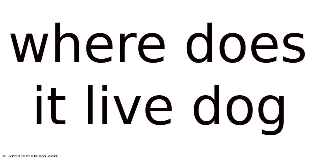 Where Does It Live Dog