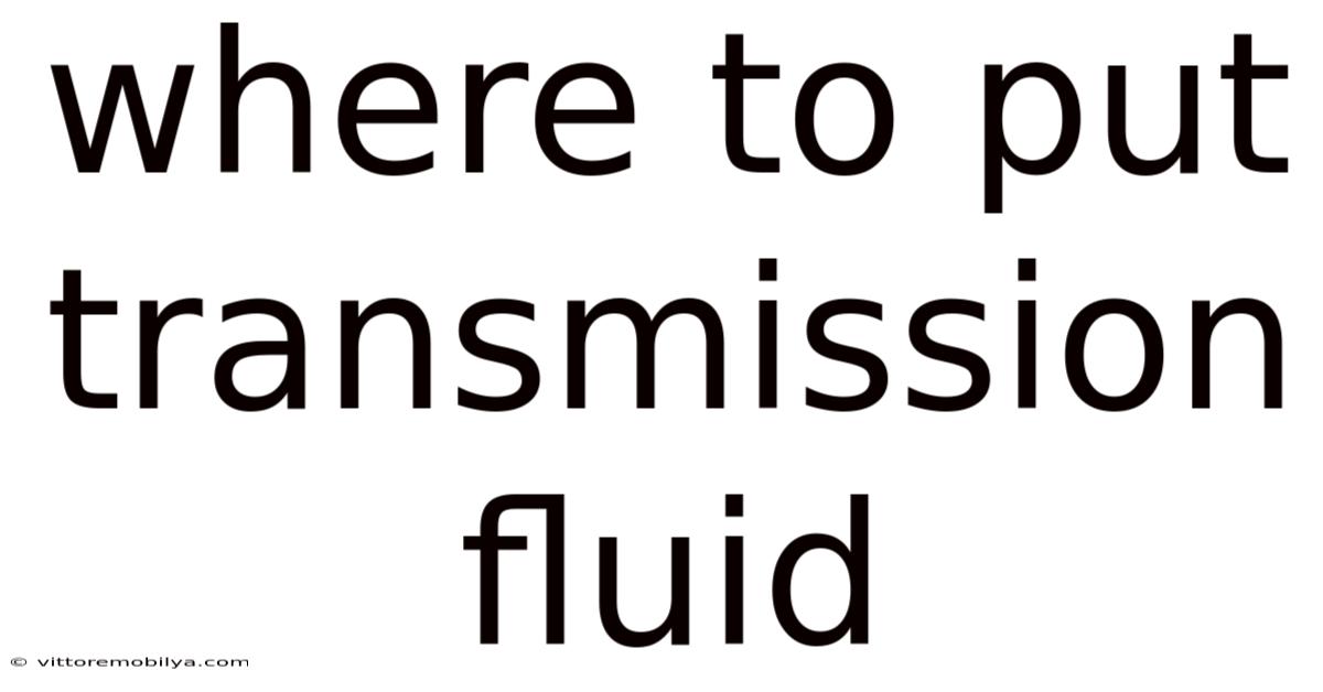 Where To Put Transmission Fluid