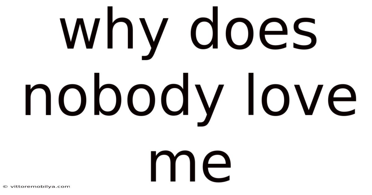 Why Does Nobody Love Me