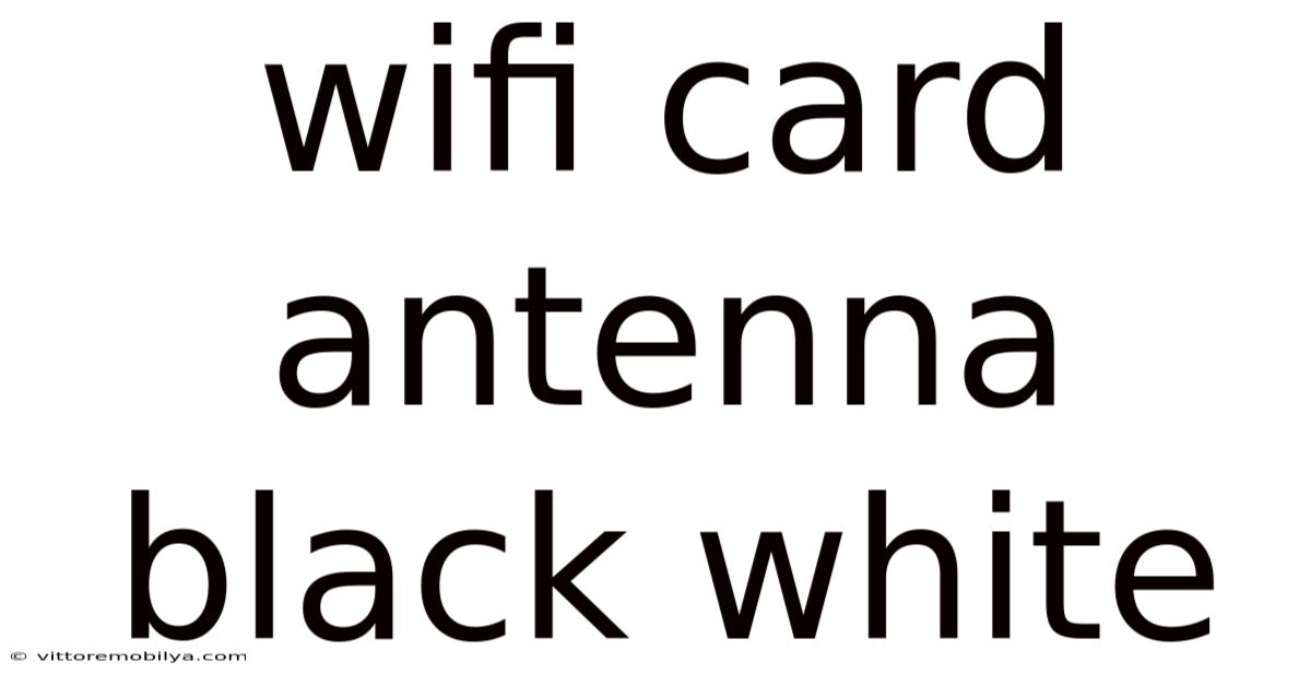 Wifi Card Antenna Black White