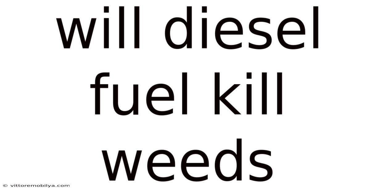 Will Diesel Fuel Kill Weeds
