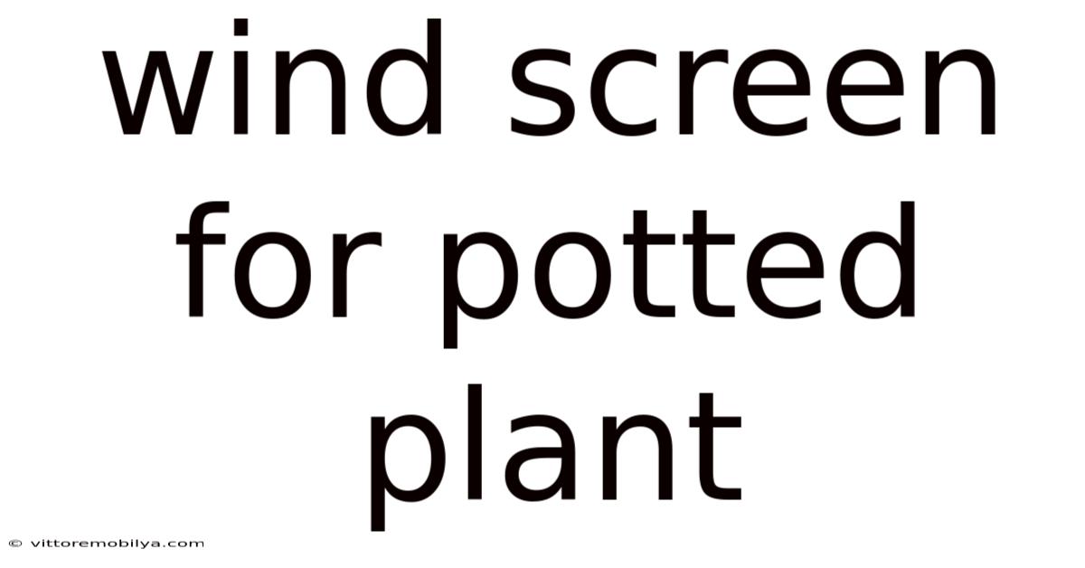 Wind Screen For Potted Plant