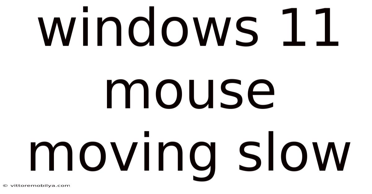 Windows 11 Mouse Moving Slow