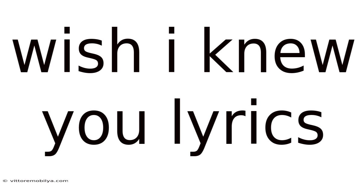 Wish I Knew You Lyrics